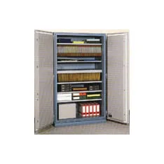Armoire ignifuge document Fichet Pyrox 810
